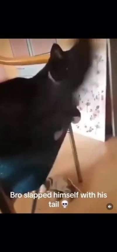 YOU WANNA KNOW HOW I FREAK IT!?