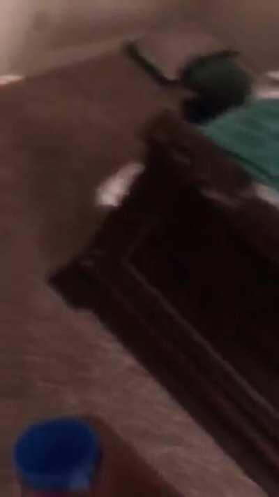 black parents be saying the weirdest shit when they mad