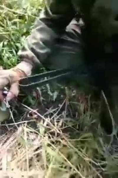 RU POV: Installation of tripwires in the forest by Russian sappers.