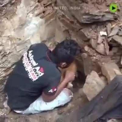 This mother is so desperate to rescue her babies and this man is so patient and understanding! Just a lovely rescue!