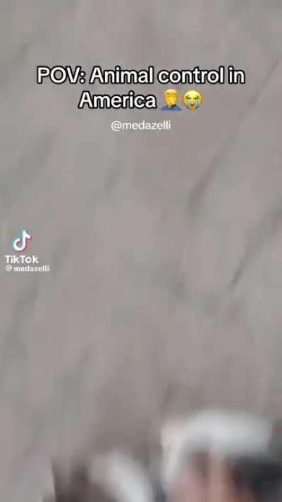 Paws in the air! Empty your pockets!