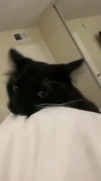 He wont budge at all