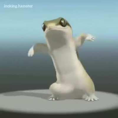 Coronavirus Coronavirus