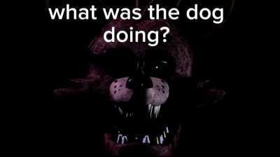 Foxy's daily vibe check 