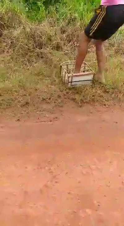 O Brasil ainda tem jeito =)