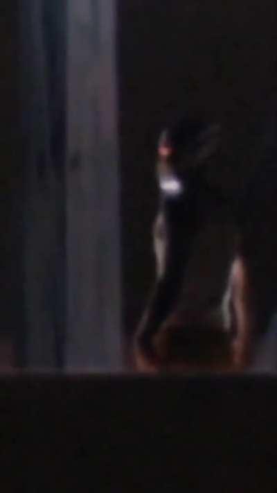 Layas! Masasama sila!