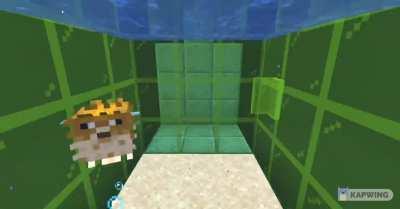 singing pufferfish thing (turn on sound)