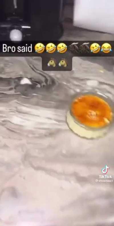 🤣🤣🤣🦟🦟🤣🤣🤣🐎🐎