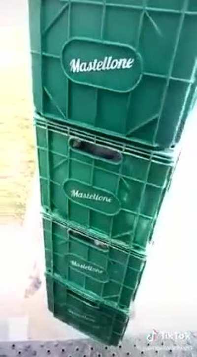 Argentine supermarket workers destroy milk crates