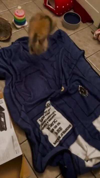 Biggest binkies I’ve ever seen 😅