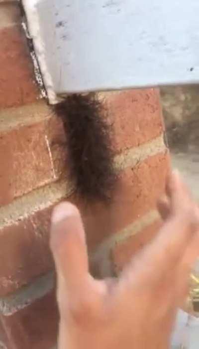 This sub has really helped me embrace the spider bro *mindset* but I’m not yet on this level