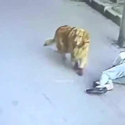 HMFT after I receive an orbital CAT strike