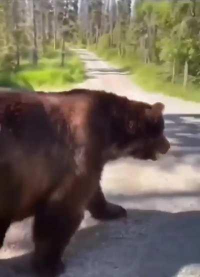 Me seeing my ugly face in the mirror