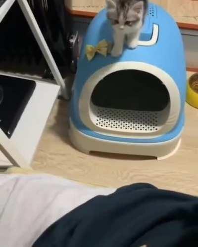 I feel like this belongs here