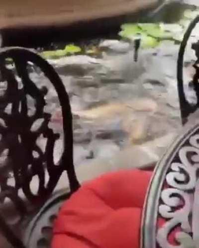 HMC While i take a bath into the pond