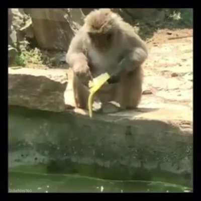 mmm banana