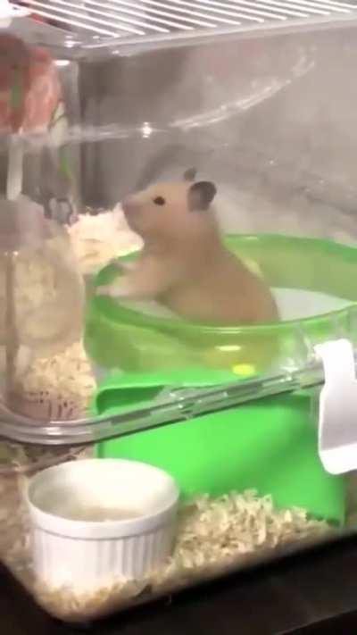 What am I doing with my life