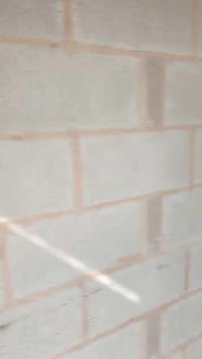 There's an aerial cable in the way of your building? Not the Bricklayers job to deal with it.