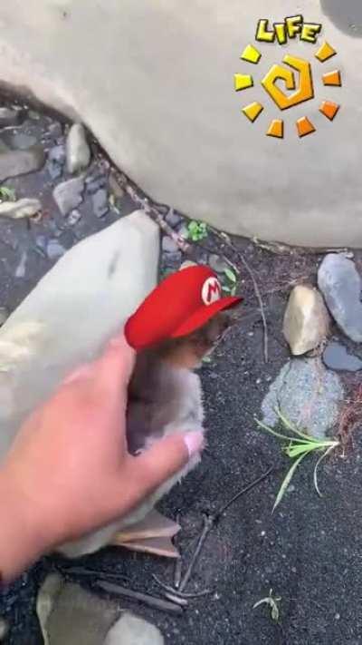 When you unlock the Turbo Nozzle in Delfino Plaza.