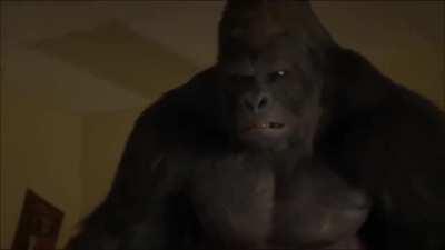 *Dies from peak fiction*