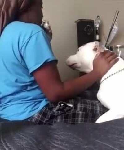 Obedience training goes a long ways.