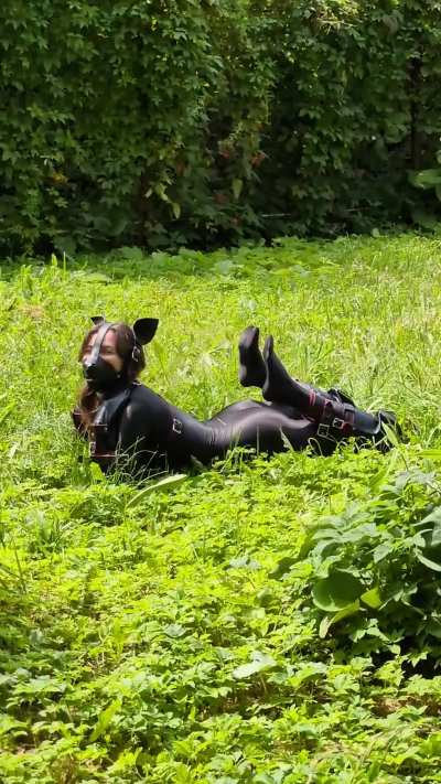 In this demonstration of petification practices, the subject is presented in a full bitchsuit, simulating the behavioral and physical responses of a domesticated animal. Lying on the grass, she exhibits signs of exertion and controlled fatigue, mimicking 