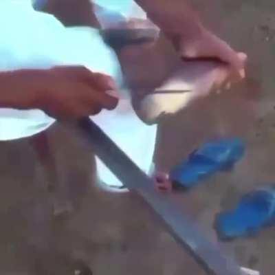 Cursed_See_officer_I_am_white