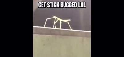 .........................................................................