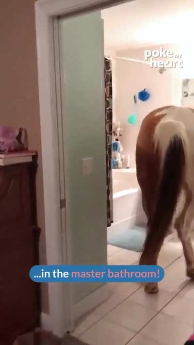 Make yourself at home