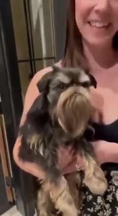 Me berating my apprentice for doing this to me.