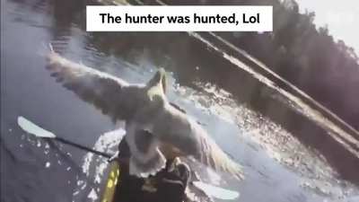 Unpredictable predators.