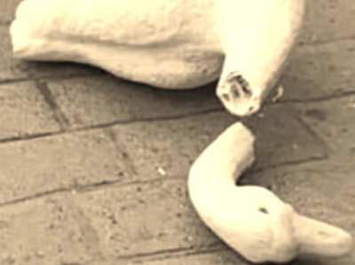 Duckganronpa (Warning: VERY SAD)