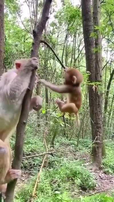 Mom watching baby learn to climb