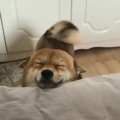 Waking up to this smile would be wonderful