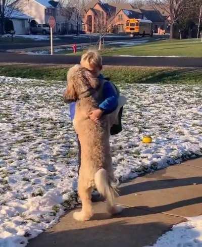 Everytime the kid returns from school ,the dog hugs him