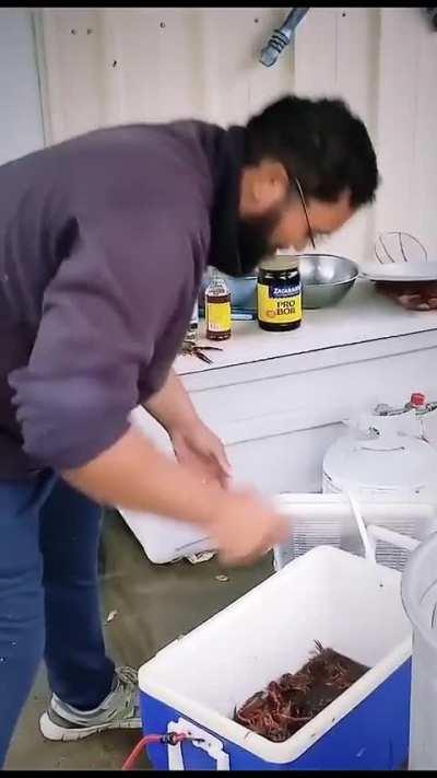 How to grab a bunch of live crawfish
