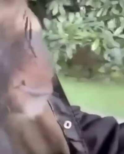 no horny😭 JUST MONKe 😔🤟