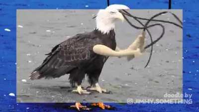 Blursed_eagle