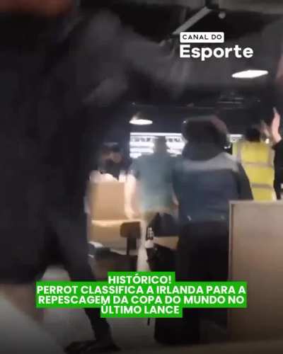 Gol de Troy Parrot que garantiu a Irlanda na repescagem pra copa do mundo