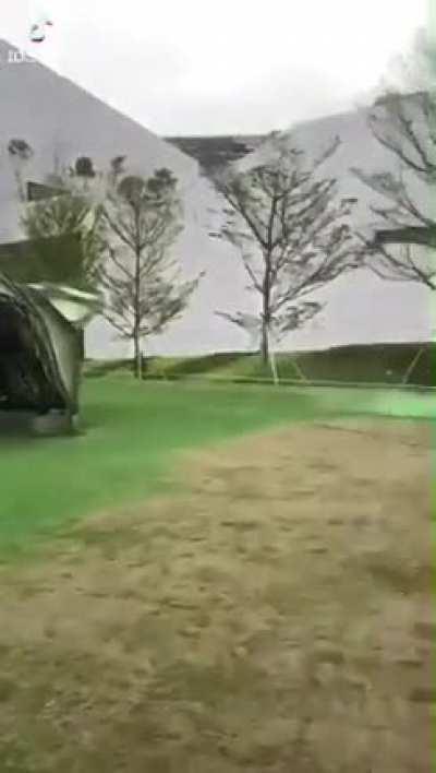 China is getting greener everyday