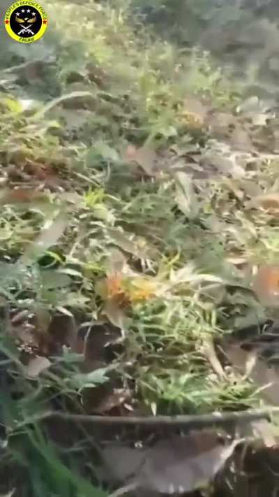 PDF Myeik District Battalion 1 (AKA People's Defense Force Palaw) Attack the Junta 17th Battalion with an M16 and M79 in Palaw Township, Tanintharyi Region, Myanmar/Burma. 3 Soldiers died. (January 9)