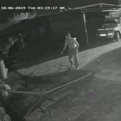 A man in India saves his cow from a lion