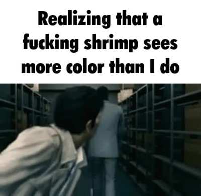 Mantis shrimp lookin ass