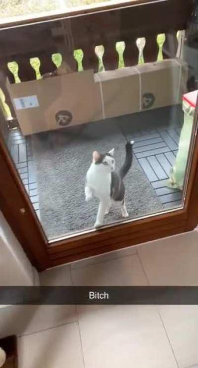 Most annoying thing he does