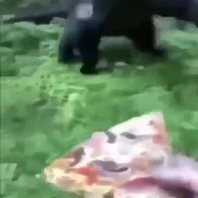 freddy fazbear orgins