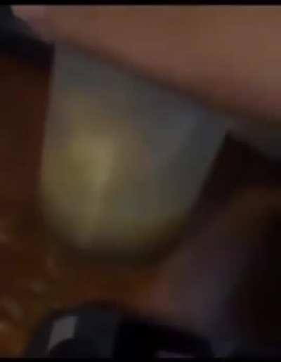 What the fuck is this..