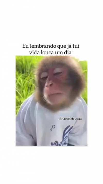 ÉPOCA QUE O VERME ERA CRIA DE BANGU