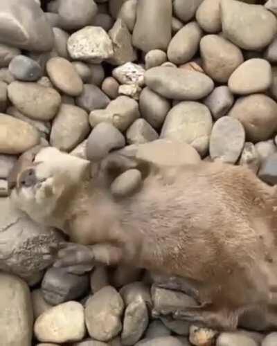 Олег отдыхает