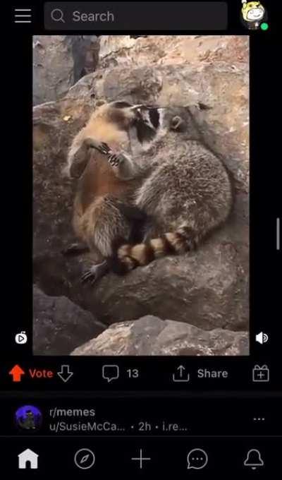 You have meny reasons not to visit