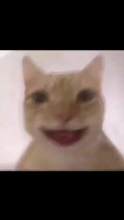 wena moai, si ves esto mándame un saludo